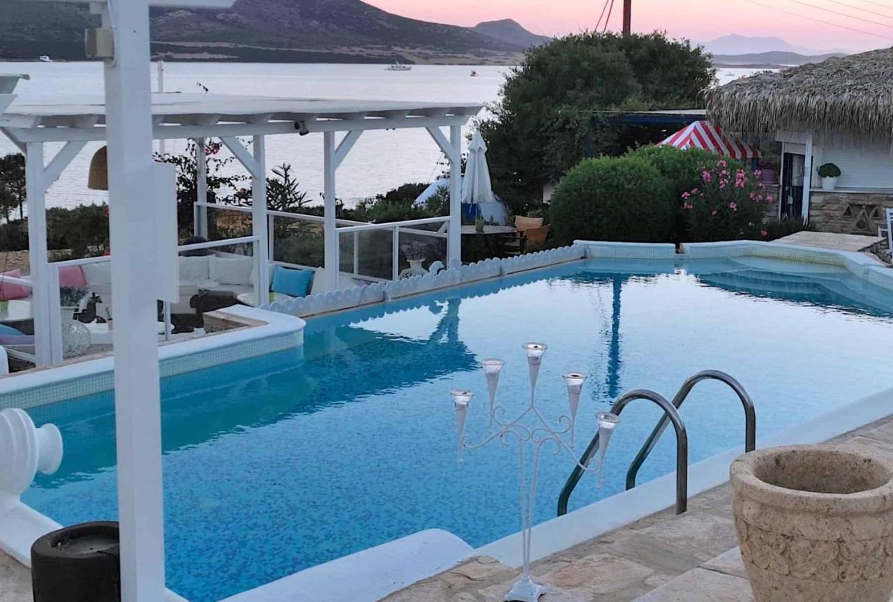 Blue Dolphin Antiparos Villas And Suites Agios Georgios  Zewnętrze zdjęcie