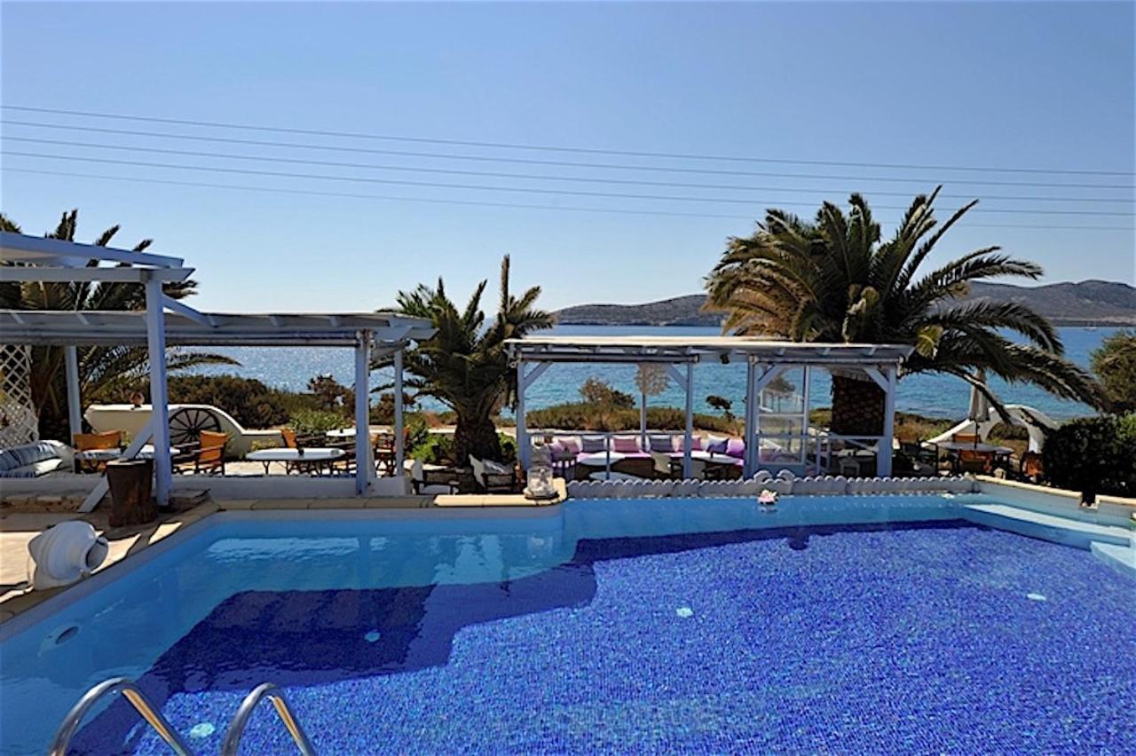 Blue Dolphin Antiparos Villas And Suites Agios Georgios  Zewnętrze zdjęcie