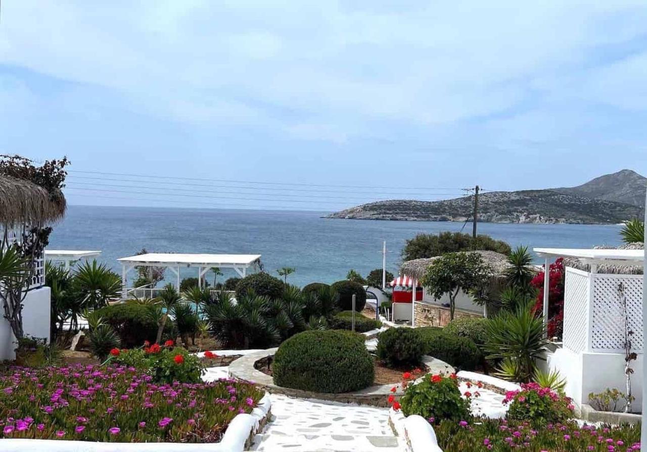 Blue Dolphin Antiparos Villas And Suites Agios Georgios  Zewnętrze zdjęcie